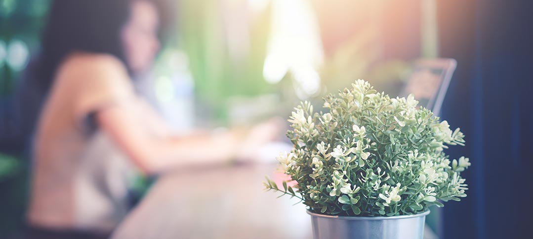 Bienvenid@ a nuestro Blog